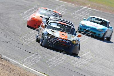 media/Feb-26-2023-Speed Ventures (Sun) [[7ac2dc7a13]]/1-SSC Spec vett race/session 1 turn 3/